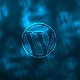 Word press - CMS System - Surrey GP online