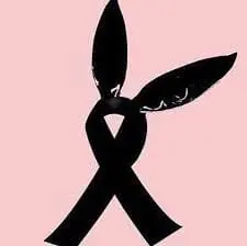 breast-cancer-awareness-ribbon